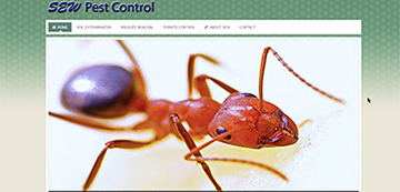 Exterminator Pest Control Websites The Woodlands Texas